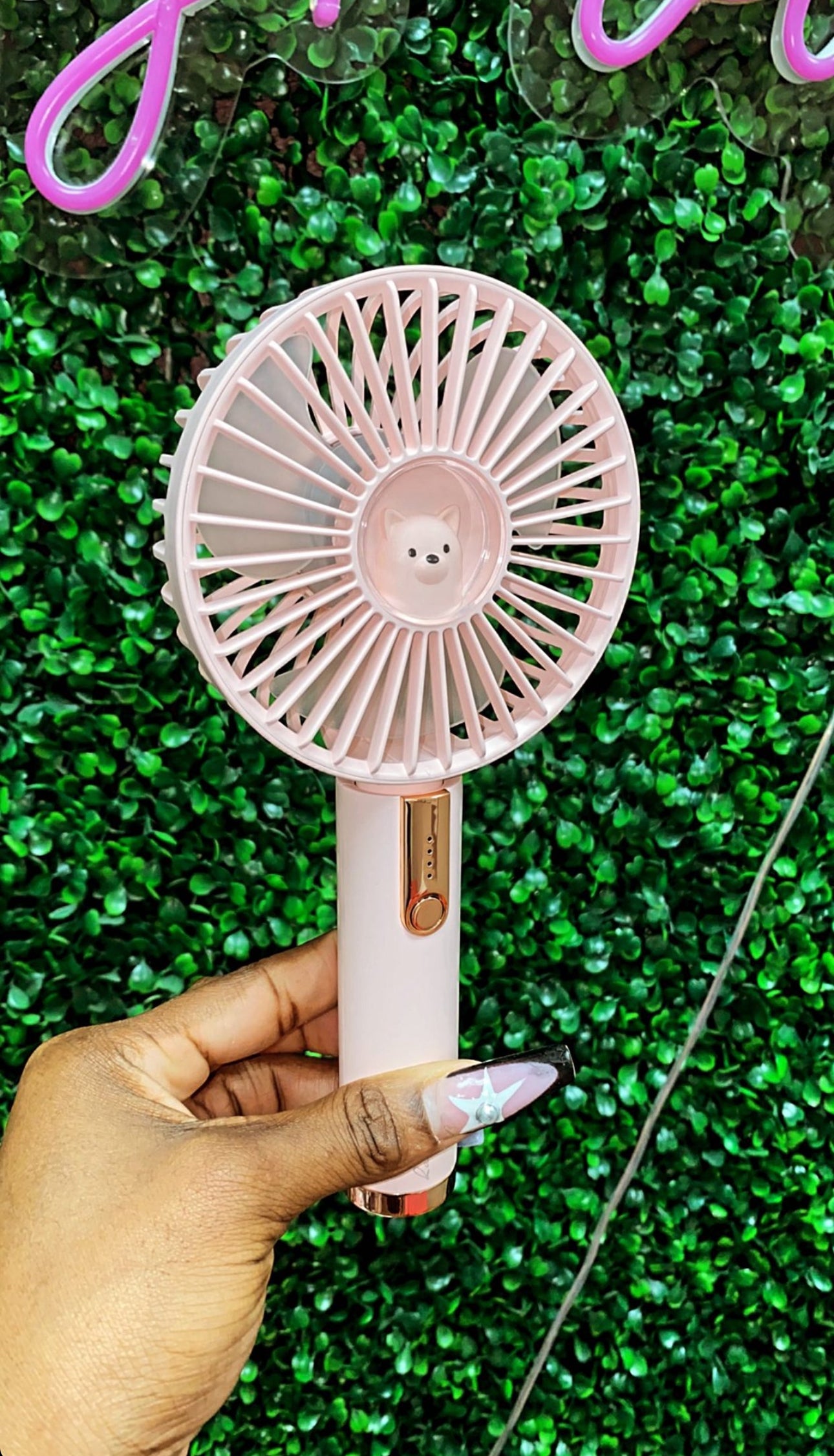 Pretty Little Fan